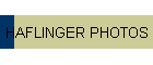 HAFLINGER PHOTOS
