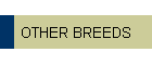OTHER BREEDS